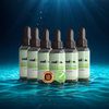 HairVigor 24 - 6 bottles